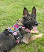 K9R - M1 LightSpeed Harness Large