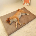 3D Foam Pet Bed with Removable Washable Faux Fur Cover Orthopedic Waterproof Dog Cat Bed for Crate Anti-Slip Bottom Pets Mats