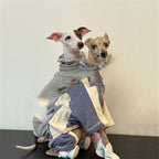 Dog Clothes AutumnWinter Thickened Warm Simple Apparel Sporty Style Four-Leg Base Layer