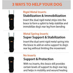 NeoAlly 3-in-1 Long Rear Leg Hock Brace - Rigid and Spring Inserts | Safety Reflective Straps [Long Version] (Pair)