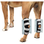 NeoAlly 3-in-1 Long Rear Leg Hock Brace - Rigid and Spring Inserts | Safety Reflective Straps [Long Version] (Pair)