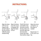 NeoAlly Rear Leg Hock Brace - Metal Spring Strips for Small Dogs [Short Version] (Pair)