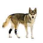 NeoAlly Rear Leg Hock Brace - Metal Spring Strips for Small Dogs [Short Version] (Pair)